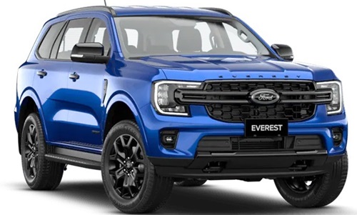 logo banner fordsg 30 1